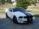 2009 Ford S197 Pony [Mustang] GT
