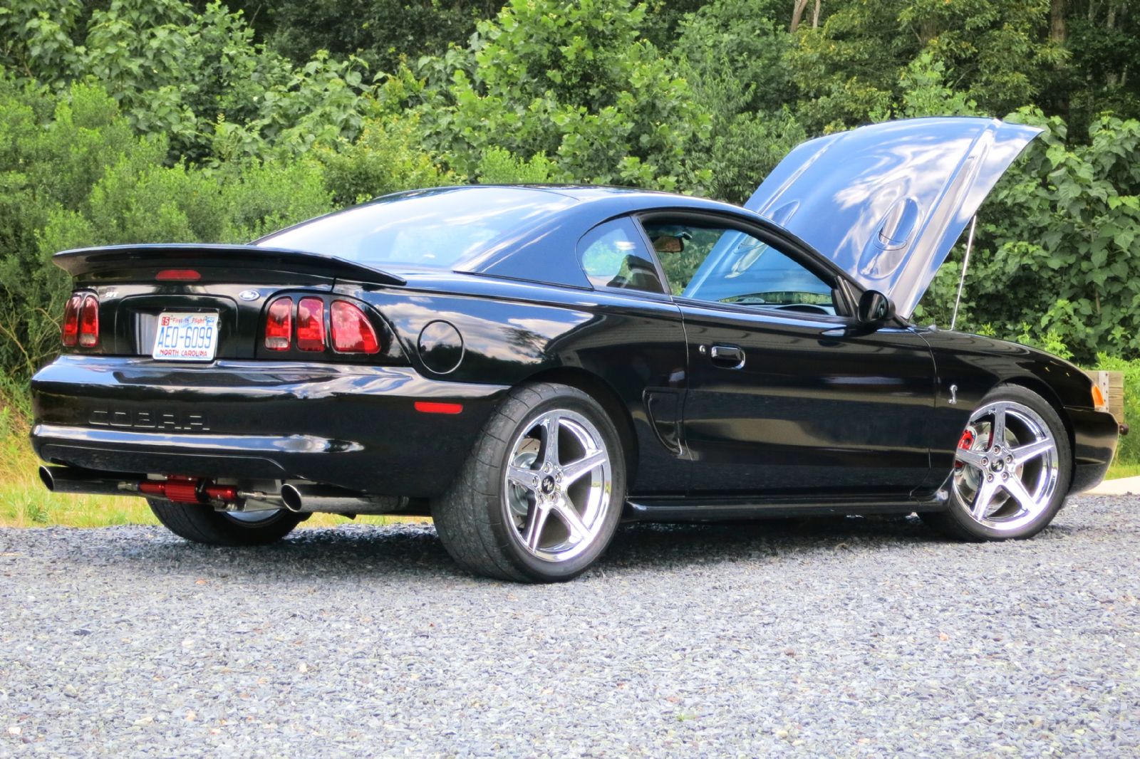 1998 Ford Mustang Cobra For Sale