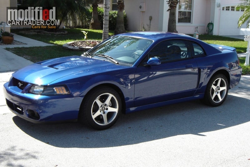 Used 2003 ford mustang svt cobra for sale #2
