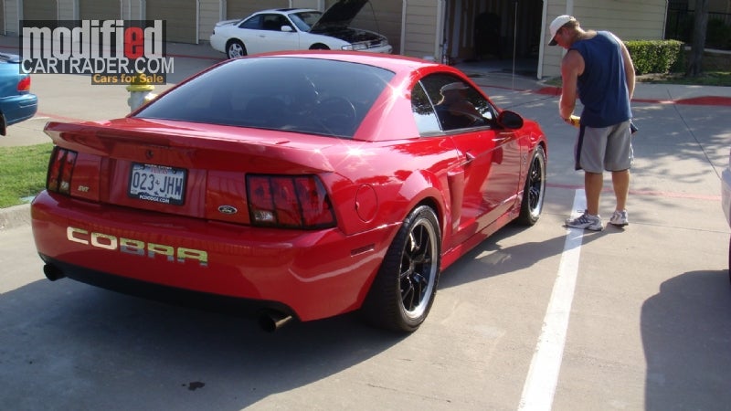 2003 Ford mustang cobra for sale tx #4