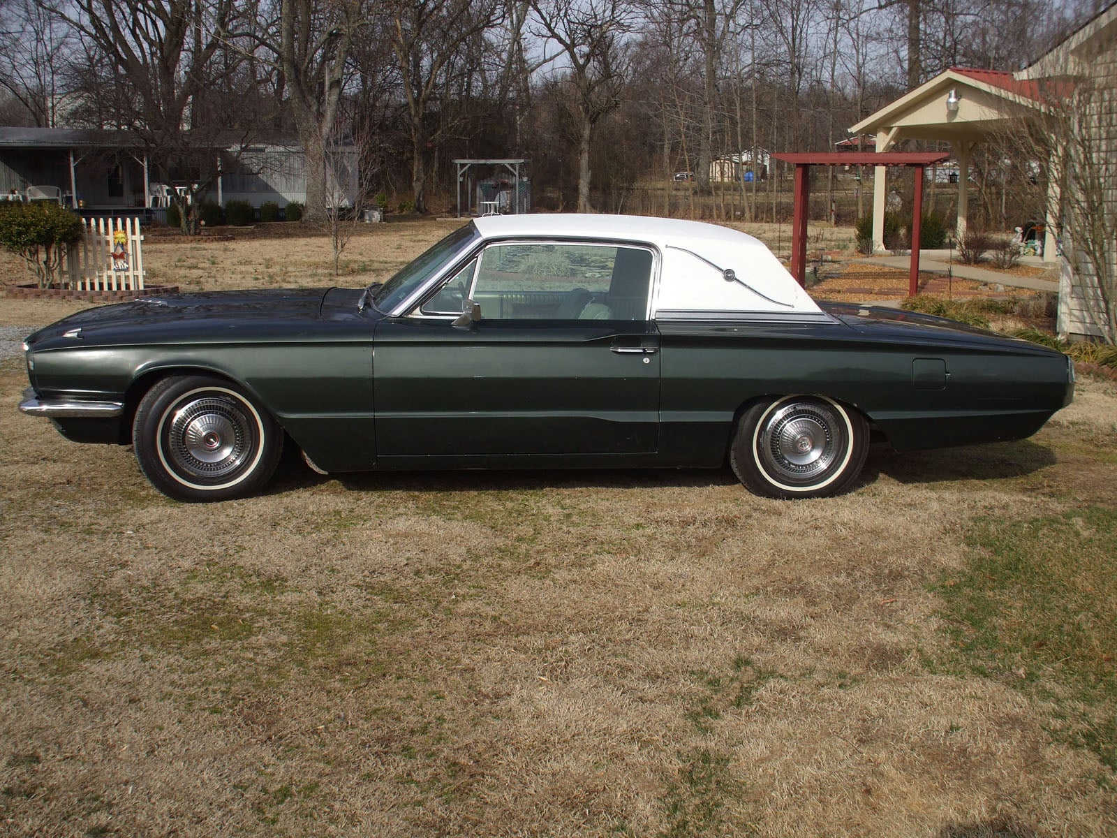 1966 Ford thunderbird for sale ontario canada #3