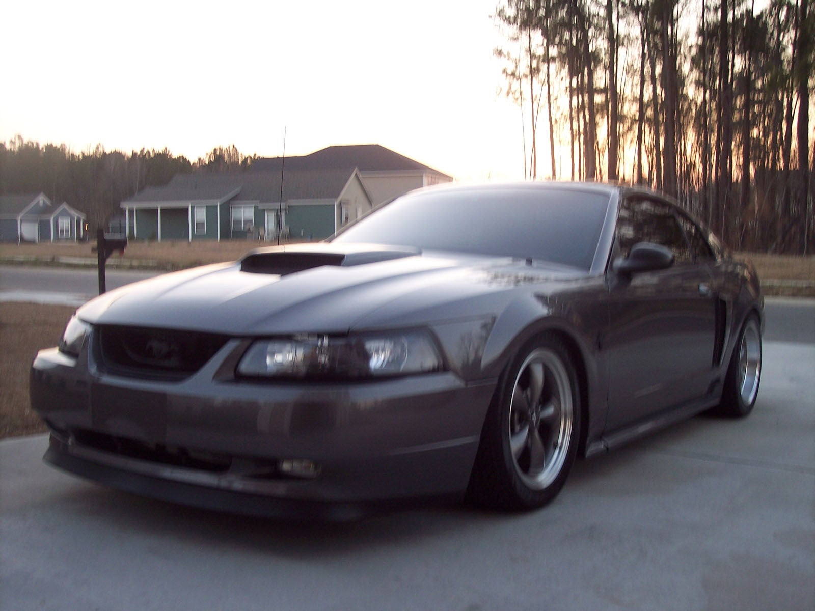 2003 Ford mustang gt stats #8