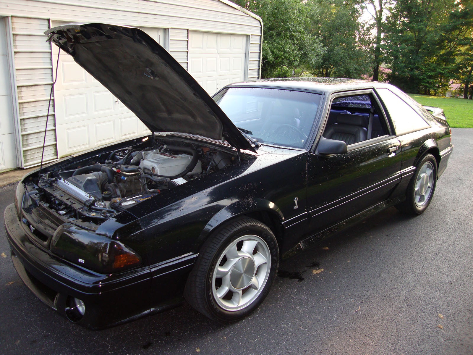 1993 Ford mustang cobra r for sale #4