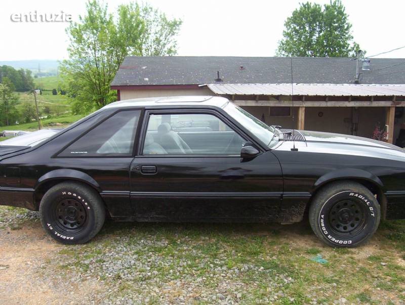1987 Ford mustangs for sale #6