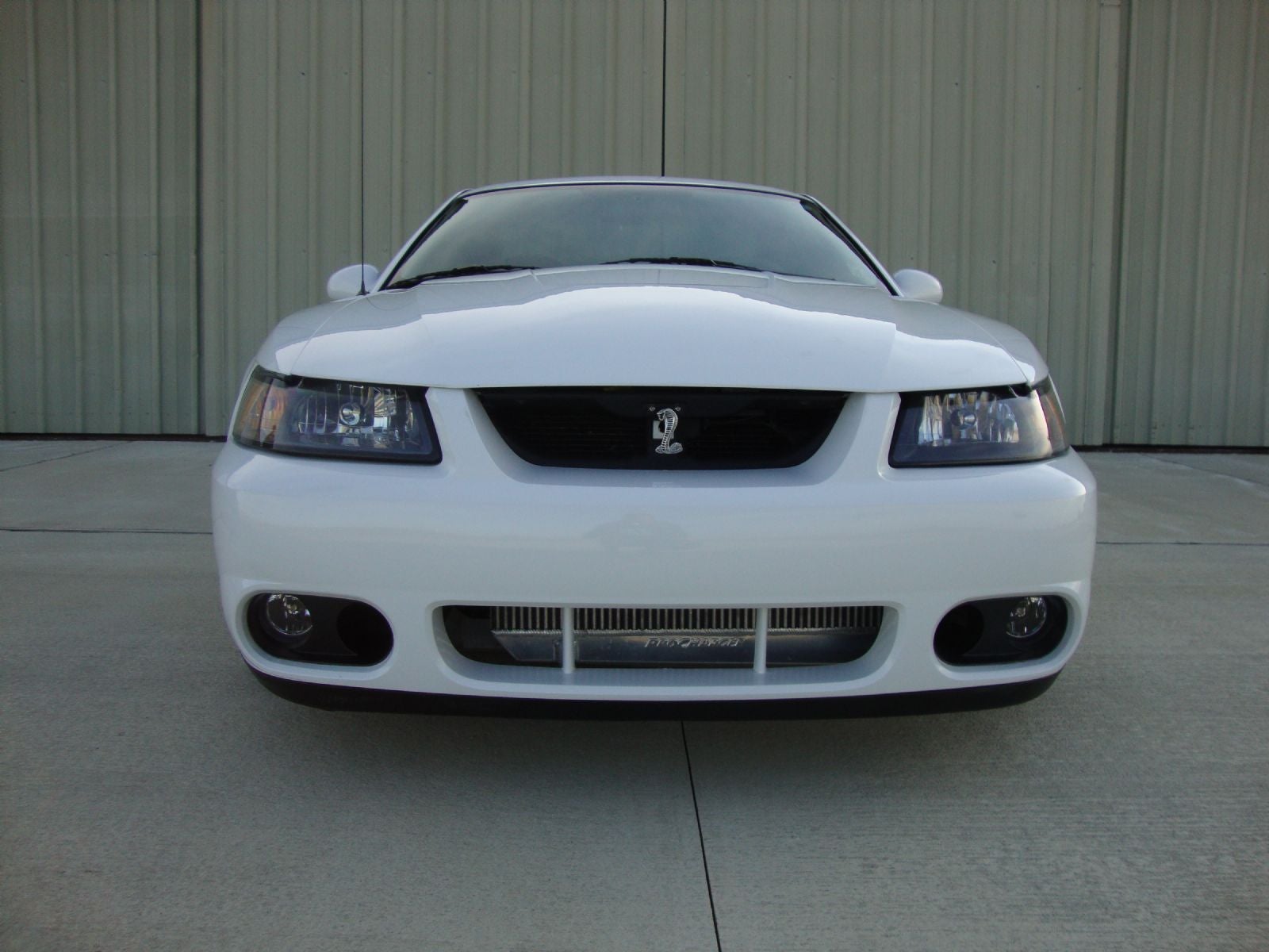 2001 Ford mustangs for sale
