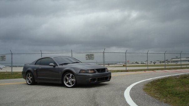 Terminator Mustang Gt For Sale